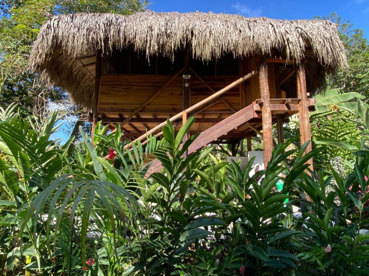 Salvia Madre Hotel Guachaca Exterior photo