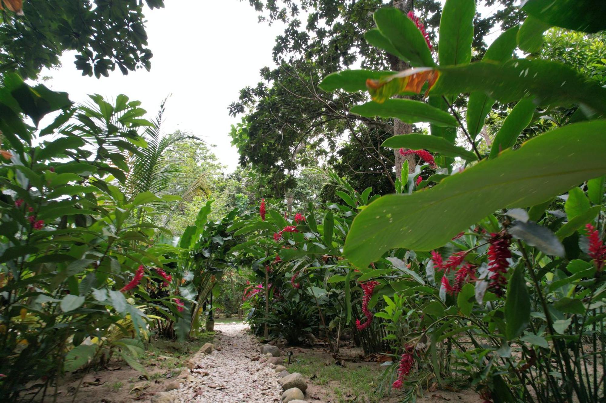 Salvia Madre Hotel Santa Marta  Exterior photo