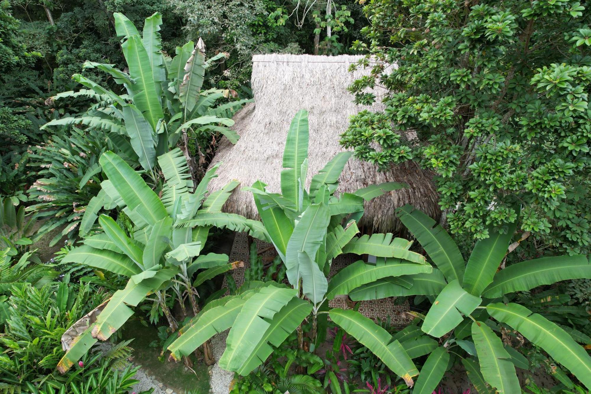 Salvia Madre Hotel Guachaca Exterior photo