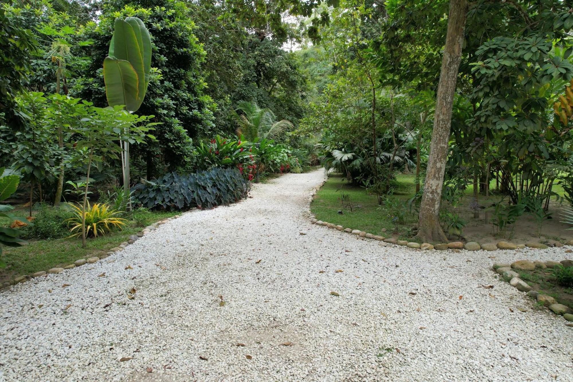 Salvia Madre Hotel Santa Marta  Exterior photo