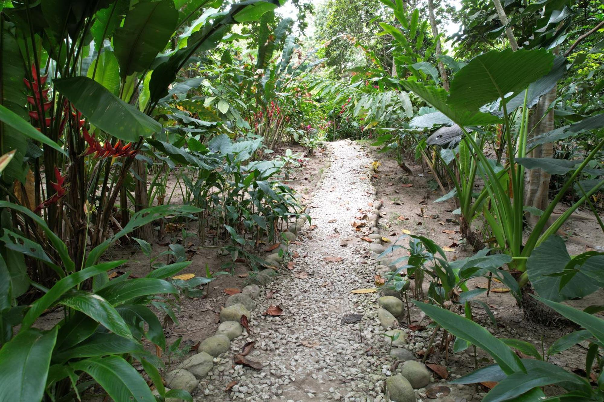 Salvia Madre Hotel Santa Marta  Exterior photo
