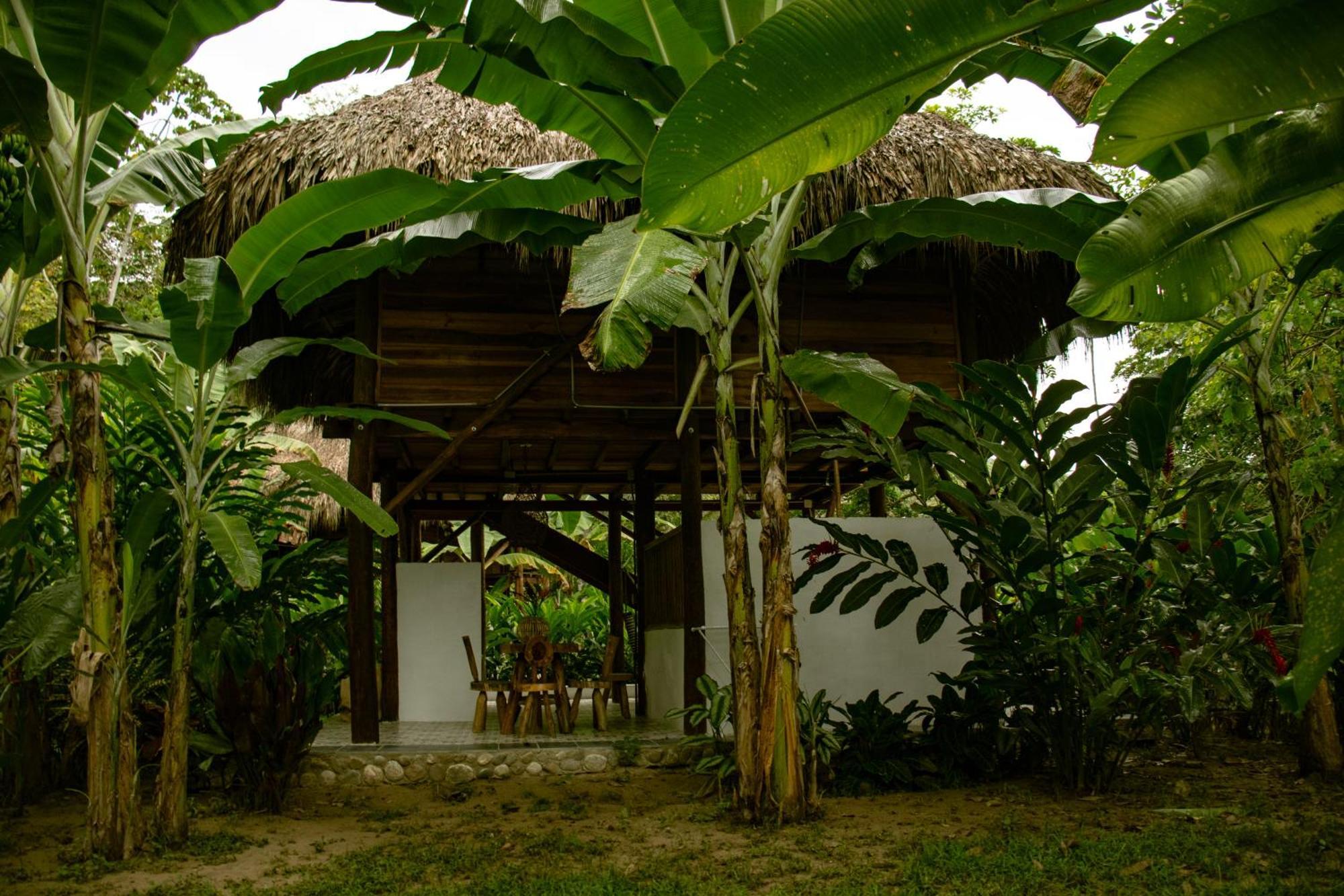 Salvia Madre Hotel Santa Marta  Exterior photo