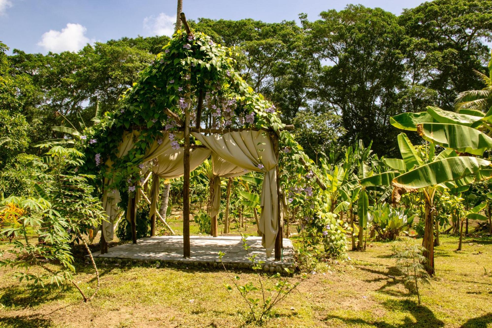 Salvia Madre Hotel Santa Marta  Exterior photo