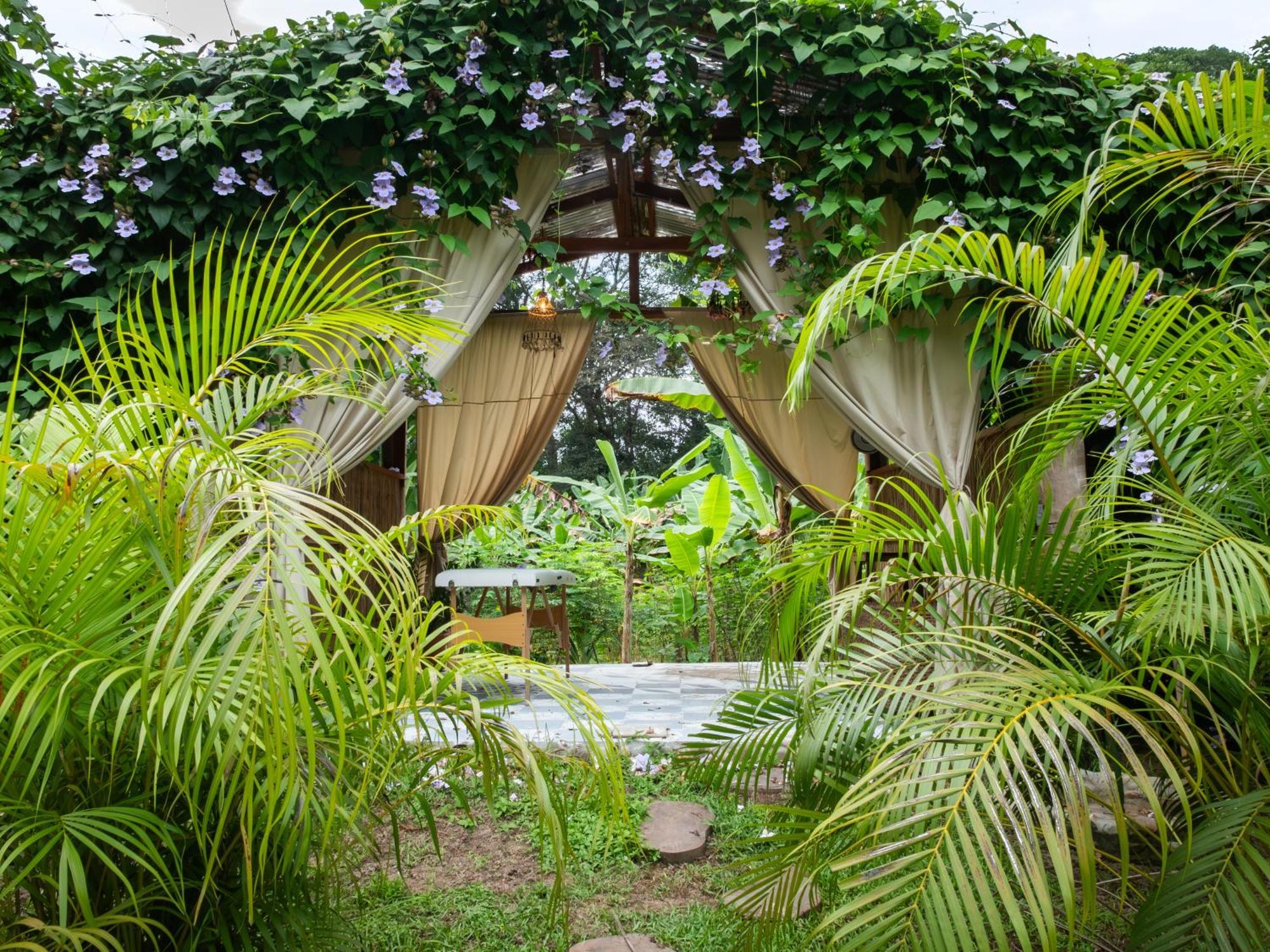 Salvia Madre Hotel Guachaca Exterior photo