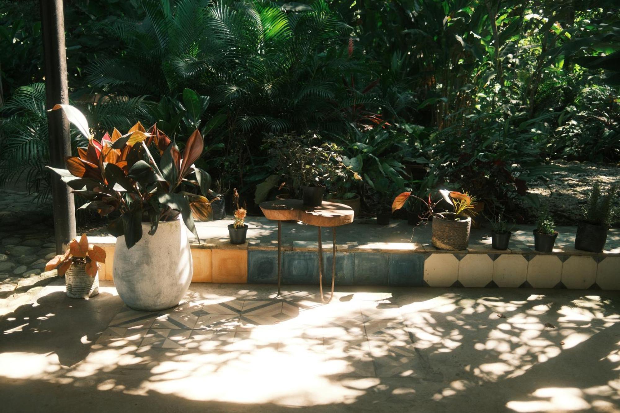 Salvia Madre Hotel Santa Marta  Exterior photo