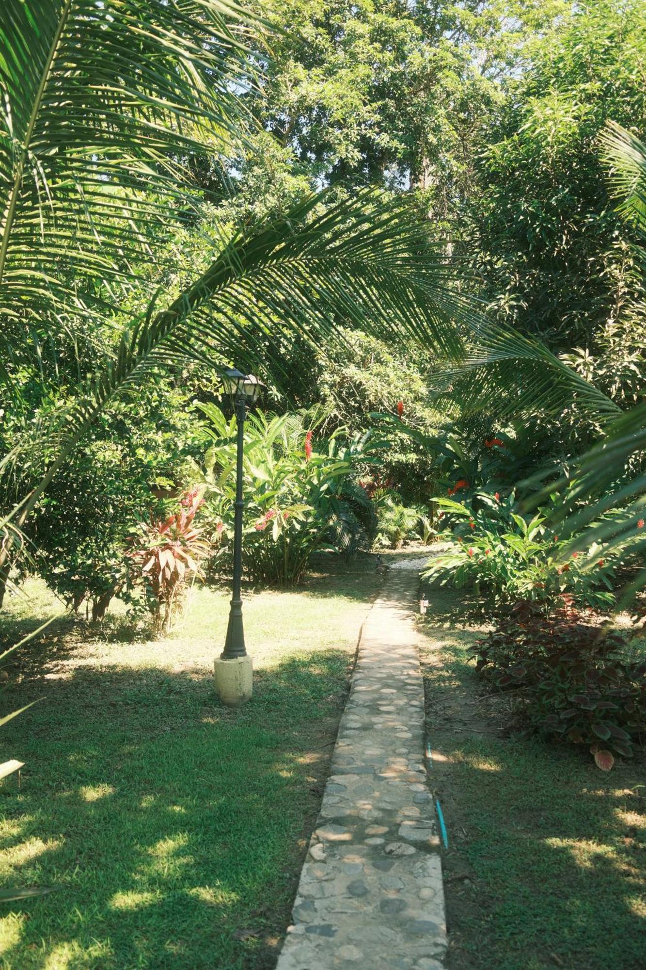 Salvia Madre Hotel Santa Marta  Exterior photo