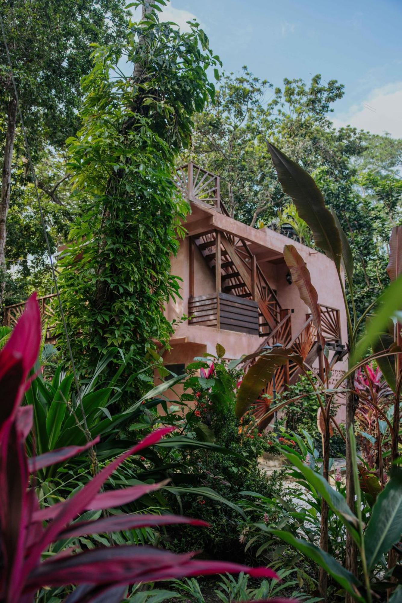 Salvia Madre Hotel Santa Marta  Exterior photo